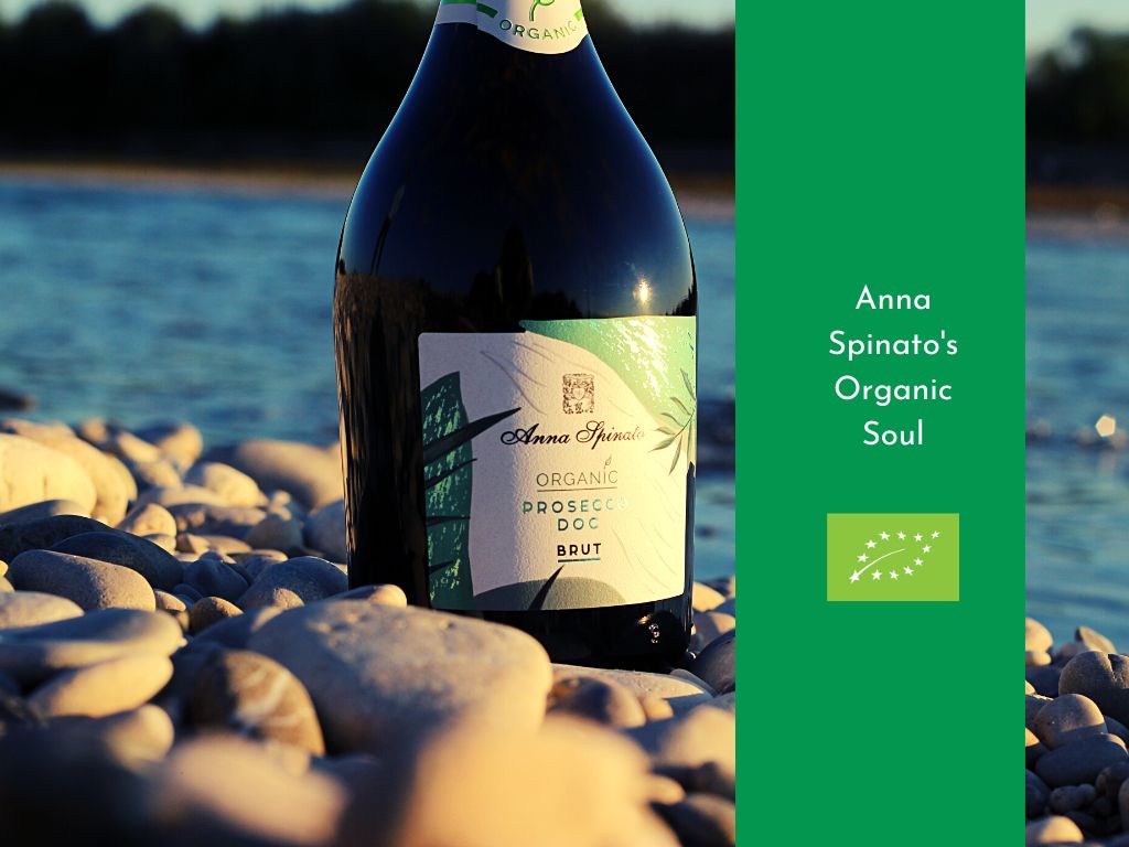 Anna Spinato’s Organic Wines