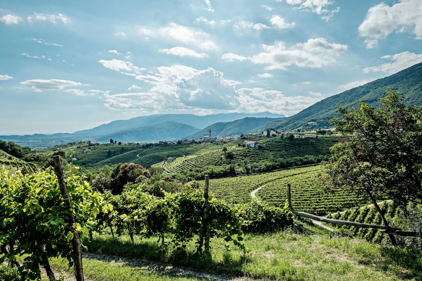 Vista sulle colline di Valdobbiadene