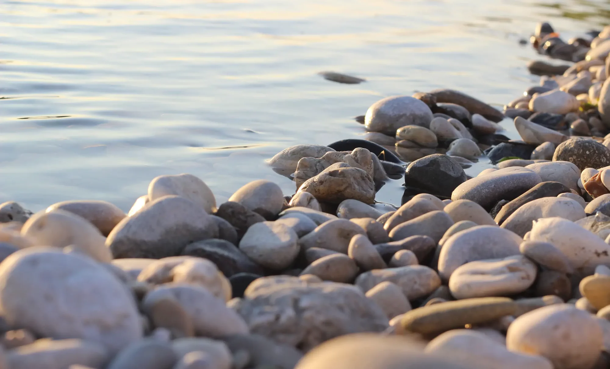 Immagine ravvicinata dei sassi del fiume Piave vicino al corso d'acqua