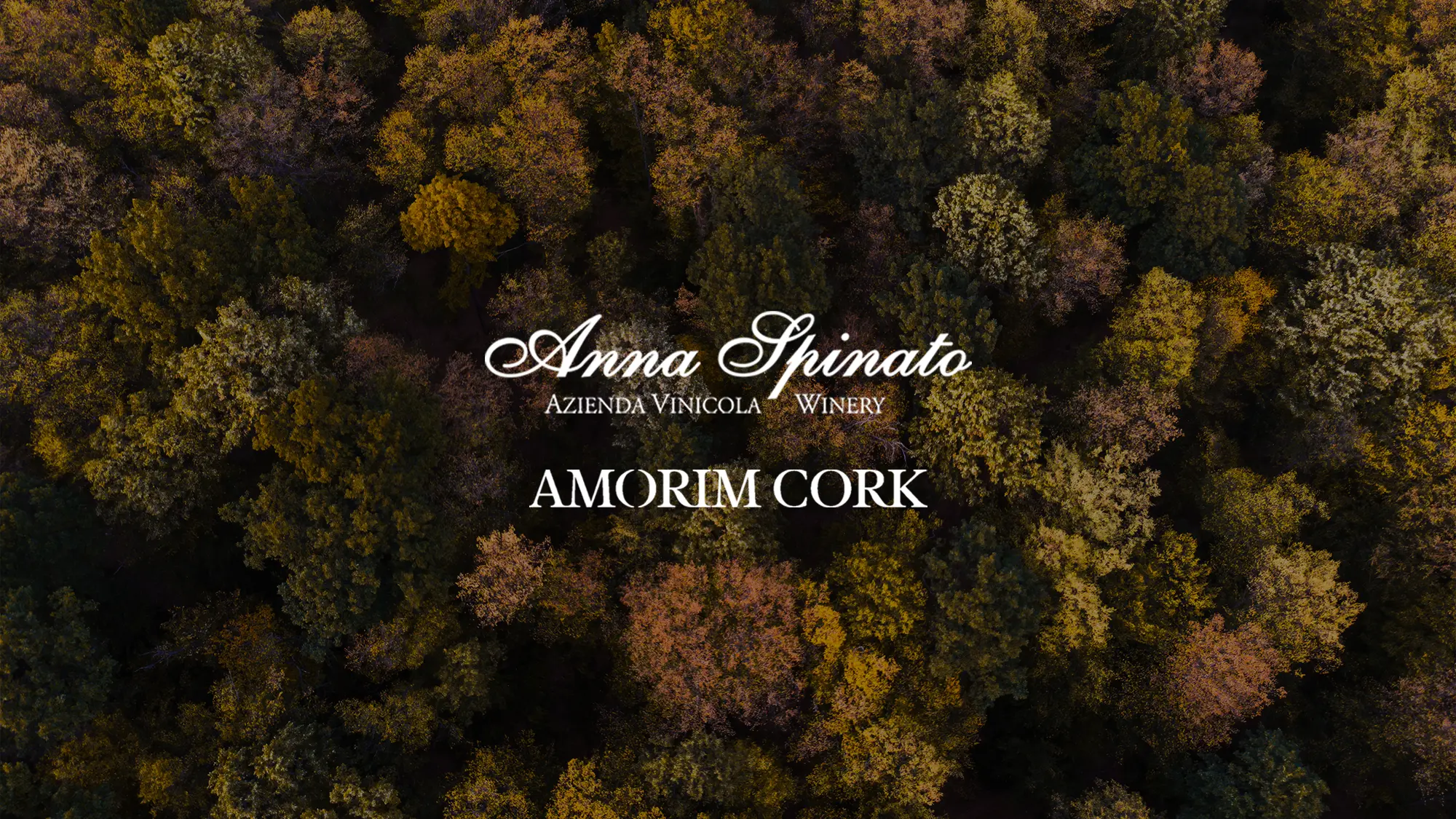 Verso il futuro con Amorim Cork